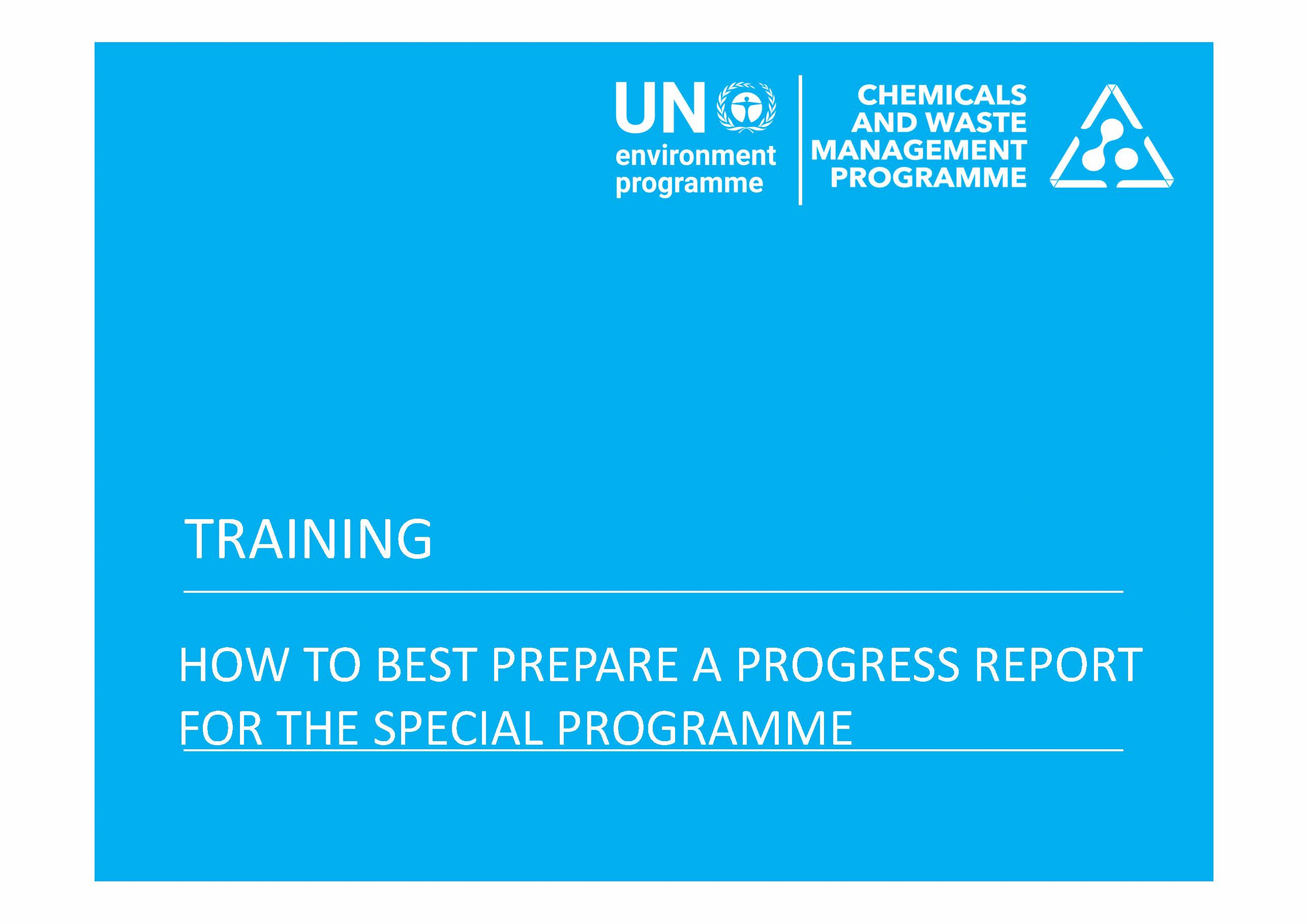 How to best prepare a Progress Report under the Special Programme